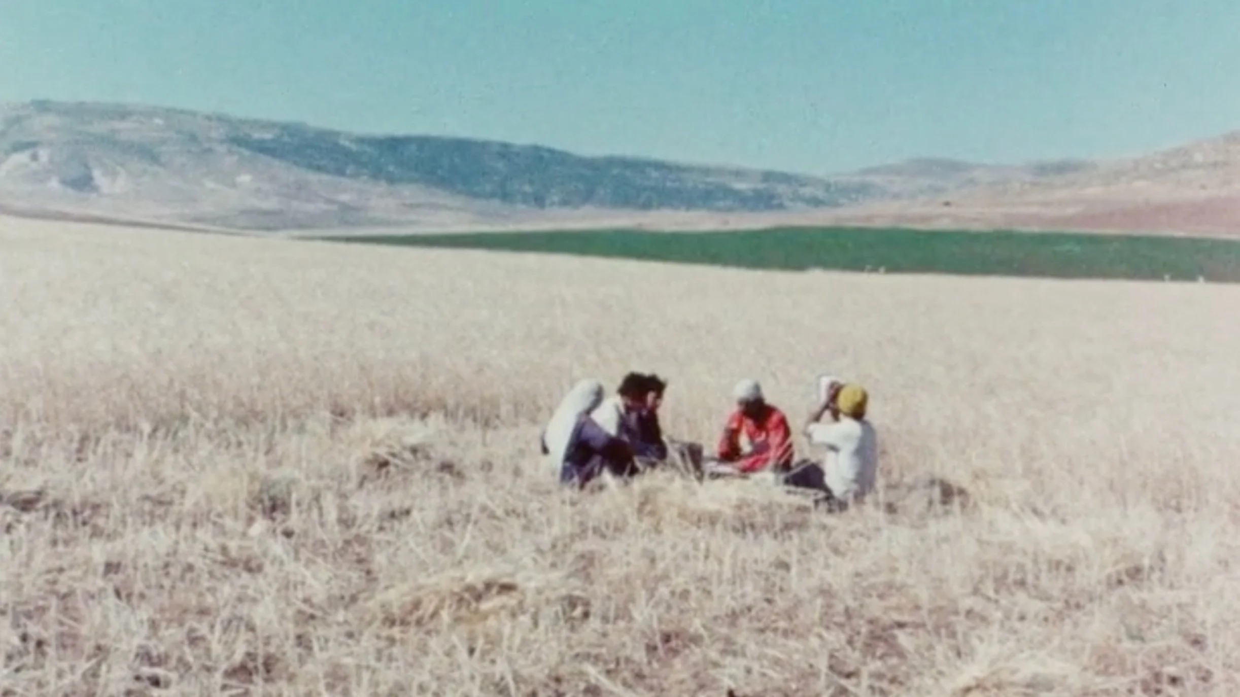 洋画・外国映画 MICHEL KHLEIFI & EYAL SIVAN ROUTE 181 Route 181 (2003) — Palestine Film Institute